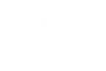 Voodoo Defense Logo